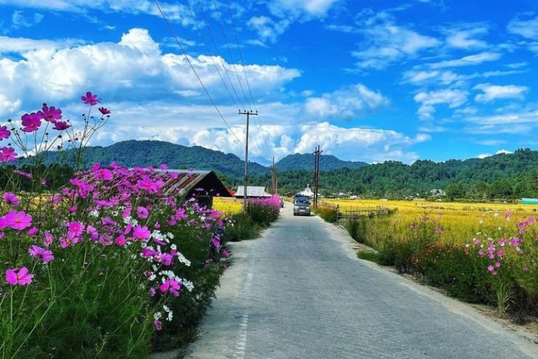 Arunachal Pradesh (5)